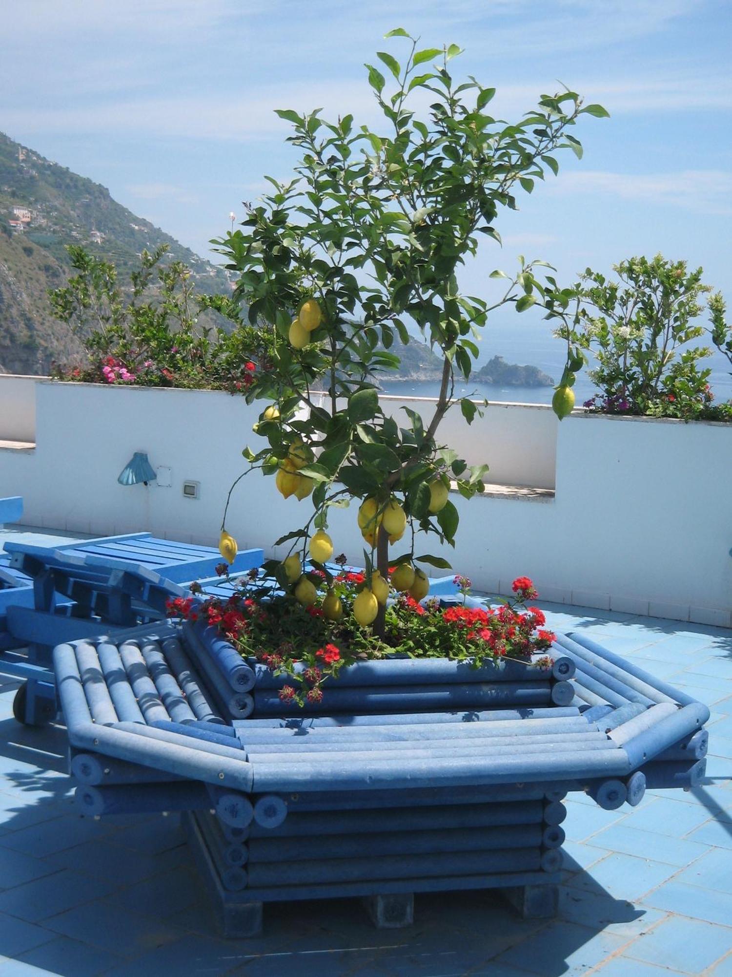 Hotel Holiday Praiano Extérieur photo